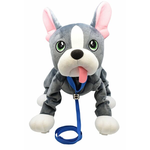 Peppy Pups - French Bull Dog